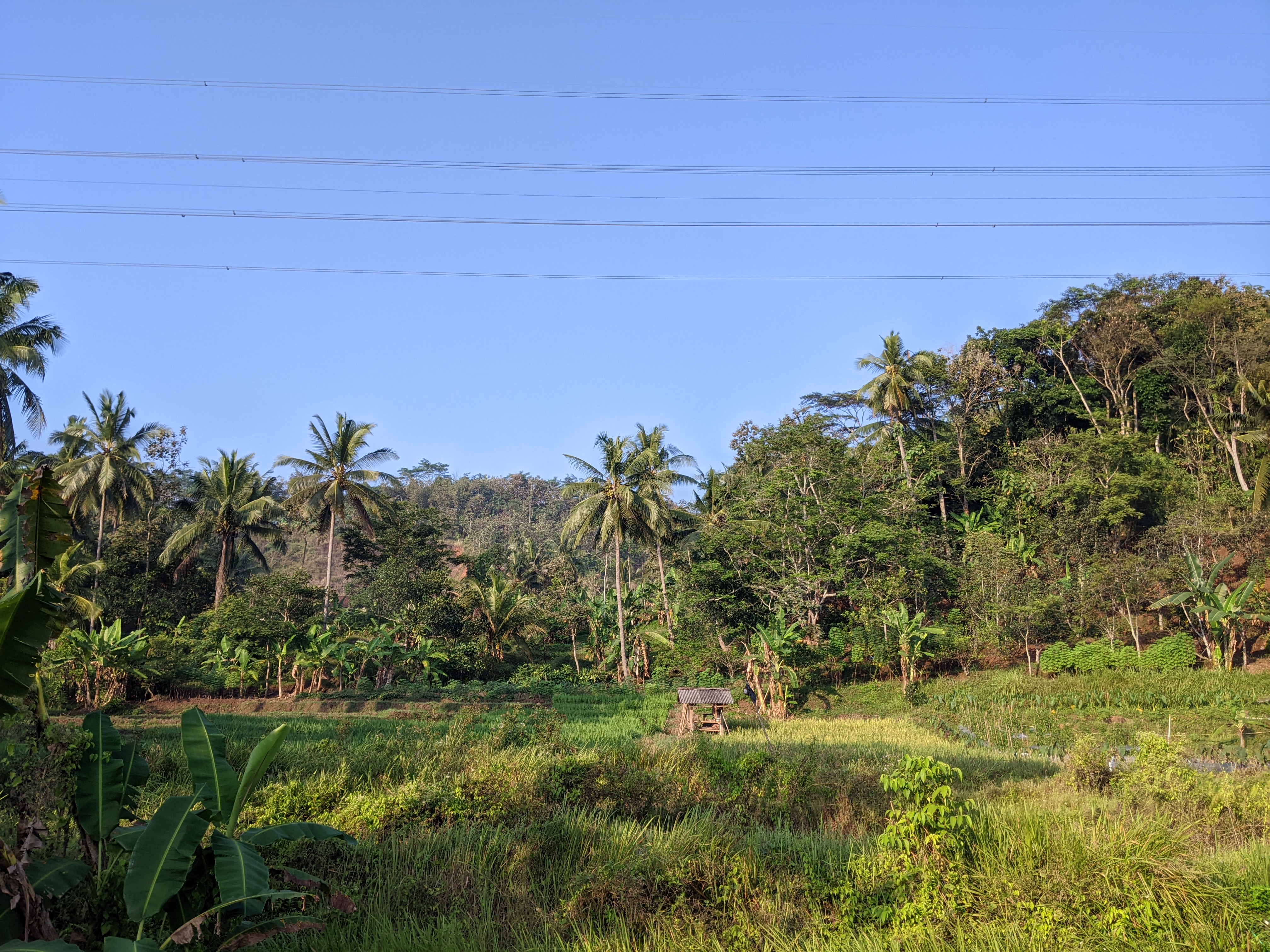 Panorama Desa, rawa yg berada di kecamatan tsb